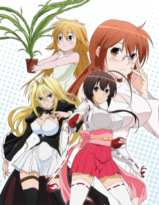 Sekirei episode 1 sub Indo